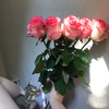 userpic__эмили роуз