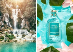 Аромат дня: Refreshing Lagoons of Laos от 4711 ACQUA COLONIA Intense