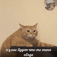 Аватарка Настюшка
