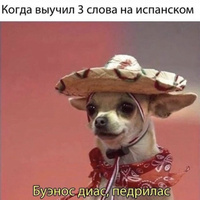 Аватарка Котенок по имени Пошел ты 🐈