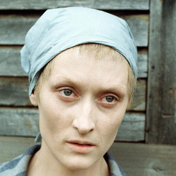 самые лучшие драмы которые заставят вас рыдать | Источник: кадр из фильма «Выбор Софи»