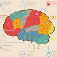 Какое полушарие у вас ведущее?