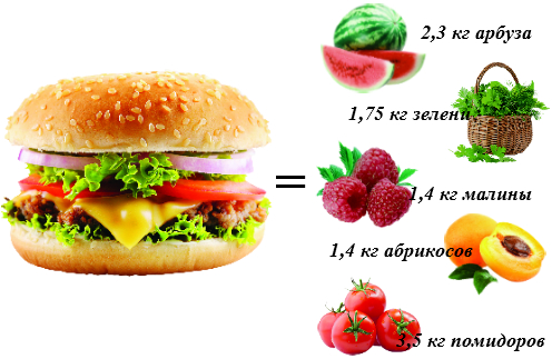 БУРГЕР по праву можно назвать королем калорий.  Его энергетическая ценность достигает 700 ккал.  А теперь представьте, сколько фруктов и овощей  вы могли бы съесть вместо него!