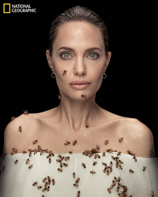 Фото №1 - Пчелы на мед: Анджелина Джоли в проекте National Geographic