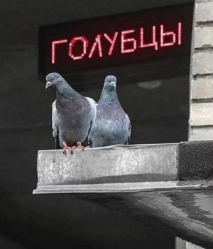 16 картинок недели и шпаргалка для совещания