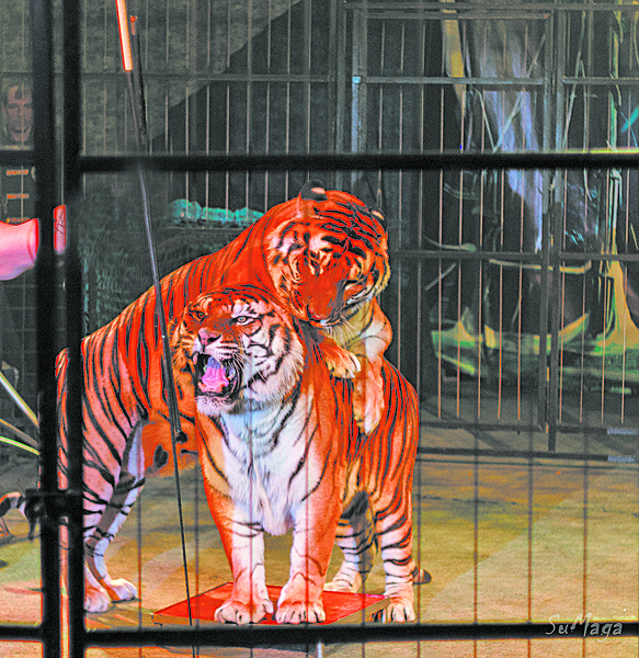 Афиша в Волгограде: что успеть посмотреть в мае