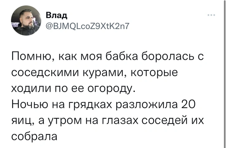 Шутки понедельника и семь сов