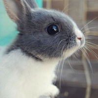 Аватарка Рыбка:*