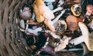 Продукт, который почти никому нельзя: врачи объяснили, как грибы могут угробить организм