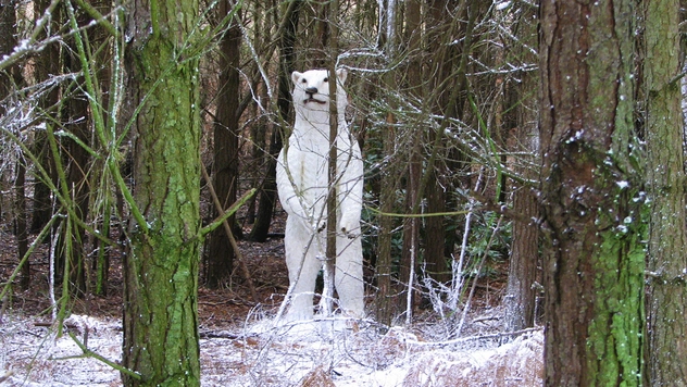 Самые ужасные туристические достопримечательности мира