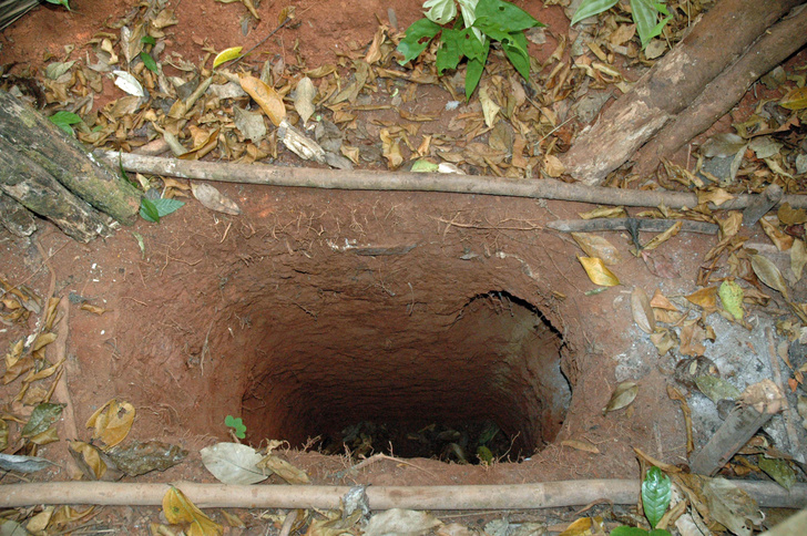 Родных убили, а он прятался в ямах: в Бразилии умер последний представитель племени танару