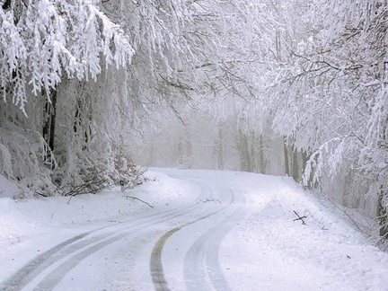 В Саратовской области мать бросила двоих детей умирать в заснеженном овраге. Один ребенок погиб