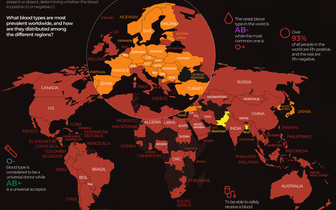 Инфографика: карта крови