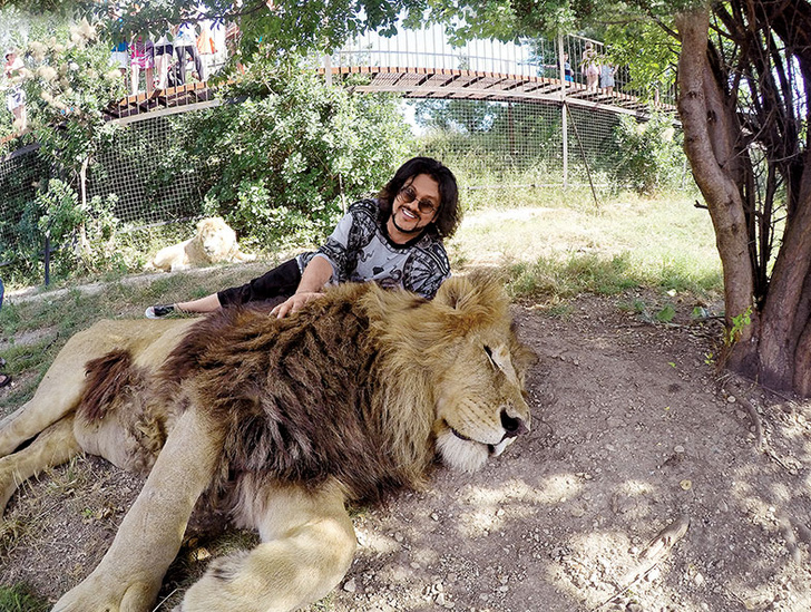 Лето Киркорова в фото: укрощал крокодила, обнимался со львом