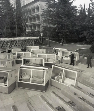 История одной фотографии: зимний загар в Сочи, 1982