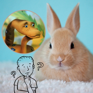 Тест: Кто ты больше — удав или кролик?