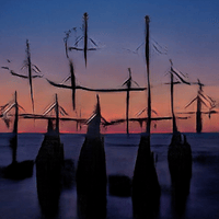 Аватарка mozartaelaa