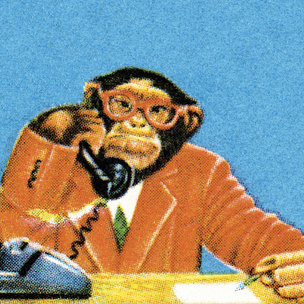 Гадаем на обезьянках: Какую новость тебе ждать сегодня?