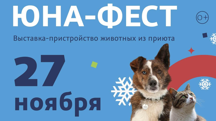 Главные события в Москве с 21 по 27 ноября