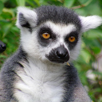 Аватарка Rich Bitch