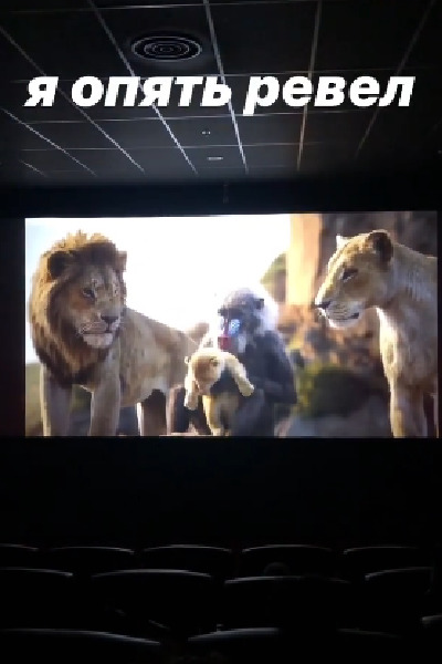 После отпуска Шепелев с сыном ходили в кинотеатр на «Короля Льва»