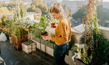 Земляника, овощи и зелень — вкуснятина, которую легко вырастить на собственном подоконнике