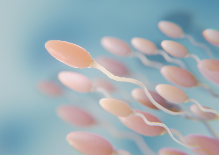 Как создают эмбрионы в лаборатории при ЭКО и зачем их потом замораживают