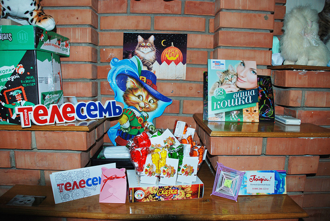 Быть детьми – это круто