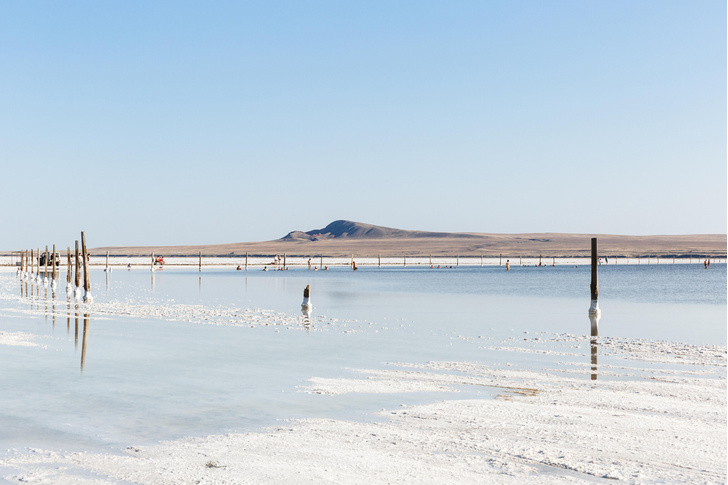 Какое озеро самое соленое в России?