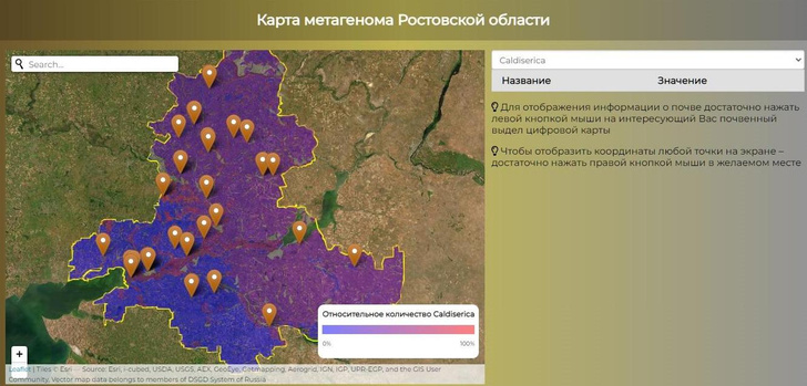 Все микробы онлайн: создана первая в России интерактивная карта плодородной почвы