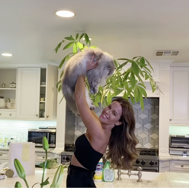 Кошка Кейт Бекинсейл стала звездой сети благодаря этому утреннему видео