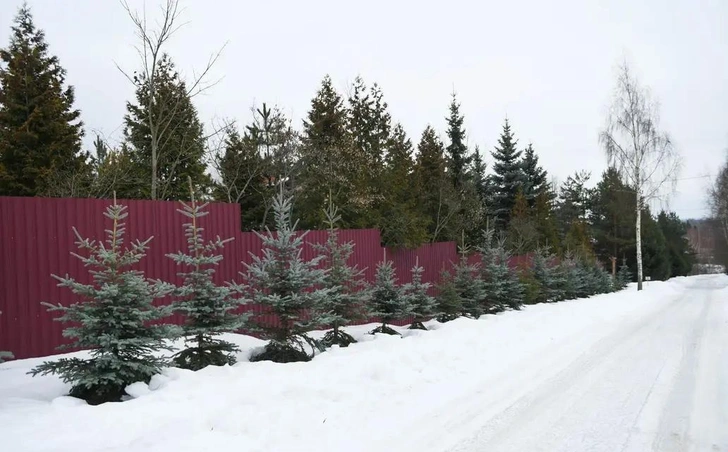 Как выглядит загородный дом Ларисы Долиной в Подмосковье