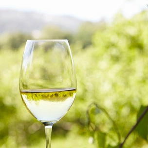 Зеленое вино: что такое Vinho Verde и почему оно такое редкое (у нас)
