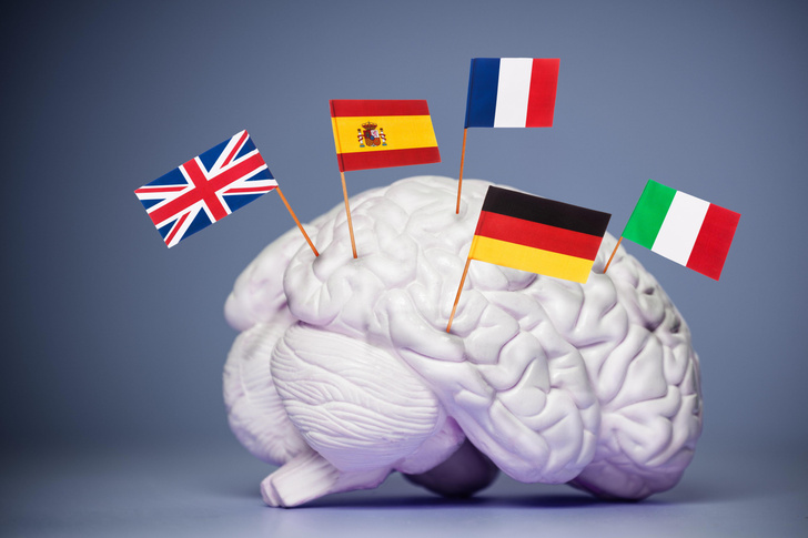 Нагрузка для ума: 10 языков, изучение которых принесет пользу мозгу