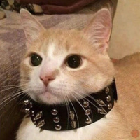 Аватарка Сладкая булочка с корицей