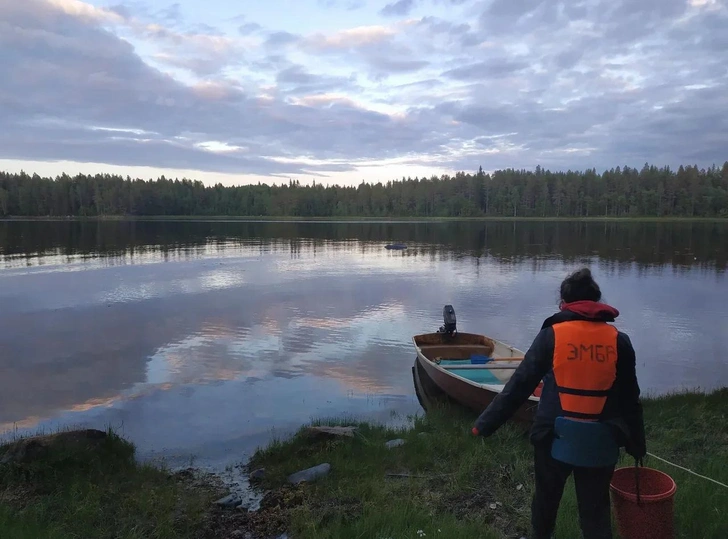 Черви подсказали ученым из Петербурга, как быстро заживлять раны