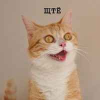 Аватарка Ладья