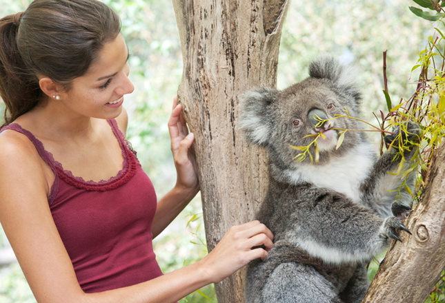 Самые милые животные фото