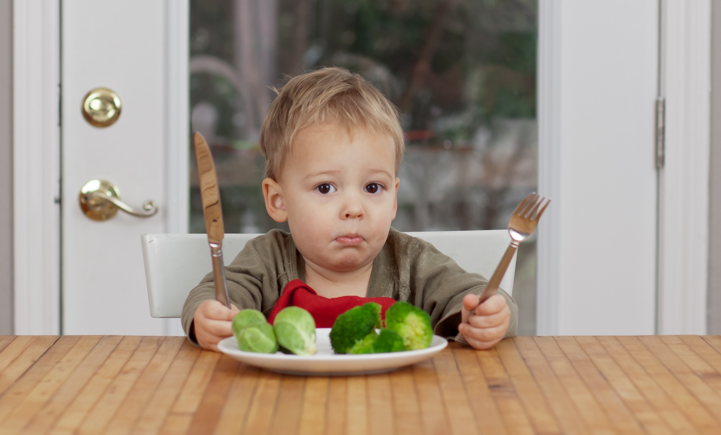 Не люблю и не ем овощи. Еда для детей. Дети вегетарианцы. Овощи для детей. Детское вегетарианство.
