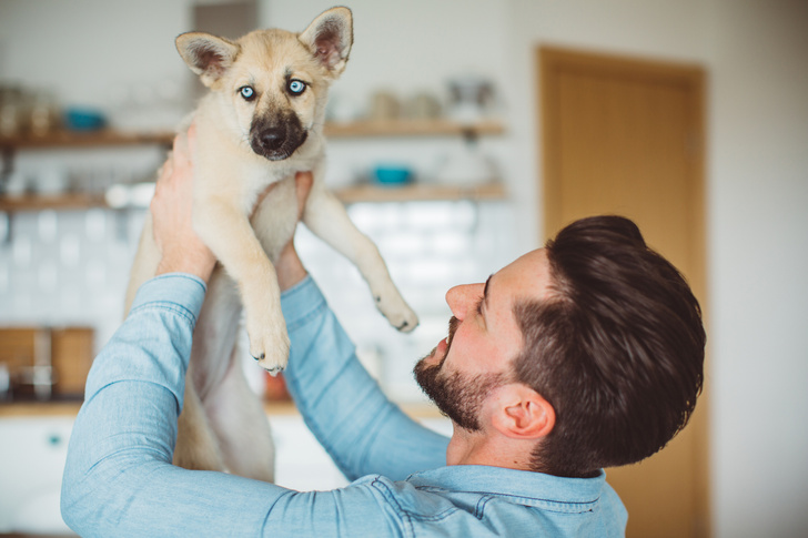 12 вещей, которые огорчают вашу собаку