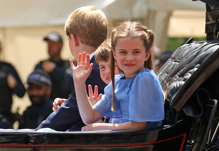 какая судьба ожидает детей британской королевской семьи