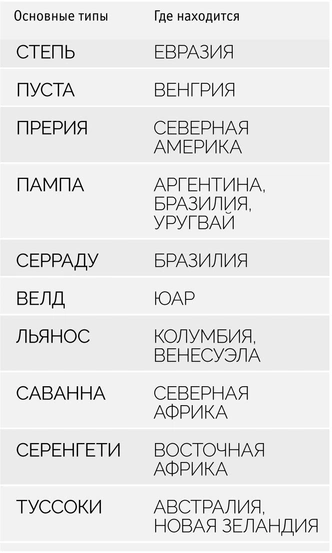 Зеленый пояс: где находятся разные степные экосистемы