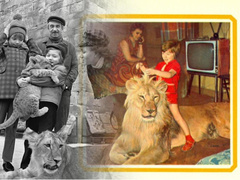 Смерть первенца и психушка: как львы-кинозвезды в квартире стали проклятием для советской семьи