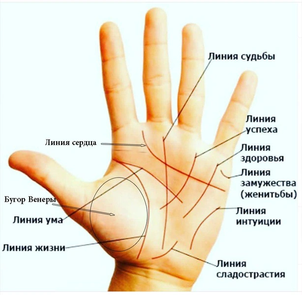 Как познакомиться с девушкой при помощи хиромантии