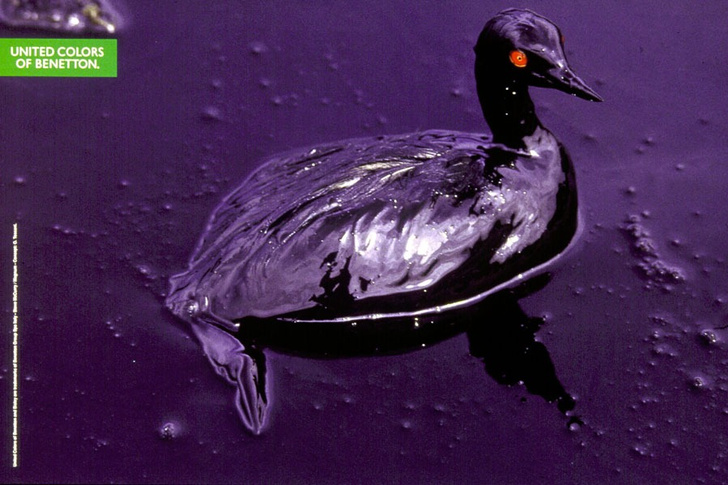 Птица в нефтяных отходах, 1992