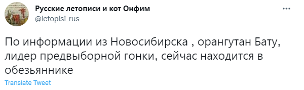 Лучшие шутки про орангутана Бату, из-за которого в Новосибирске разразился политический скандал