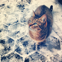 Аватарка вредина