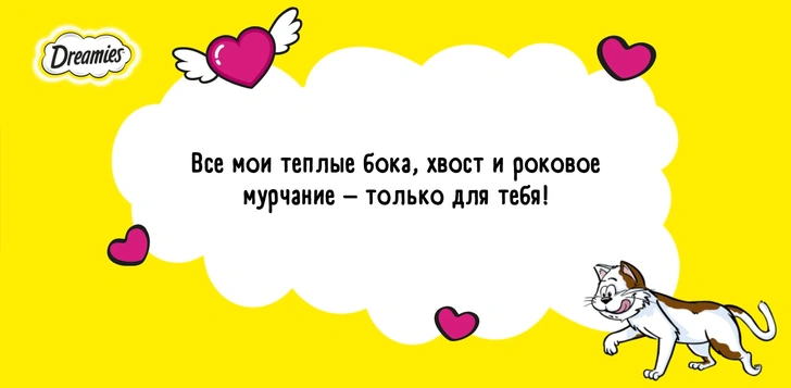 Получи валентинку от котика! Самый замечательный способ отметить День влюбленных