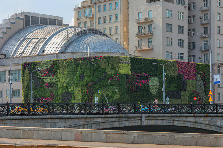 Сад по вертикали: в центре Москвы выросла стена из растений и цветов