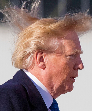 Что было не так с волосами Трампа